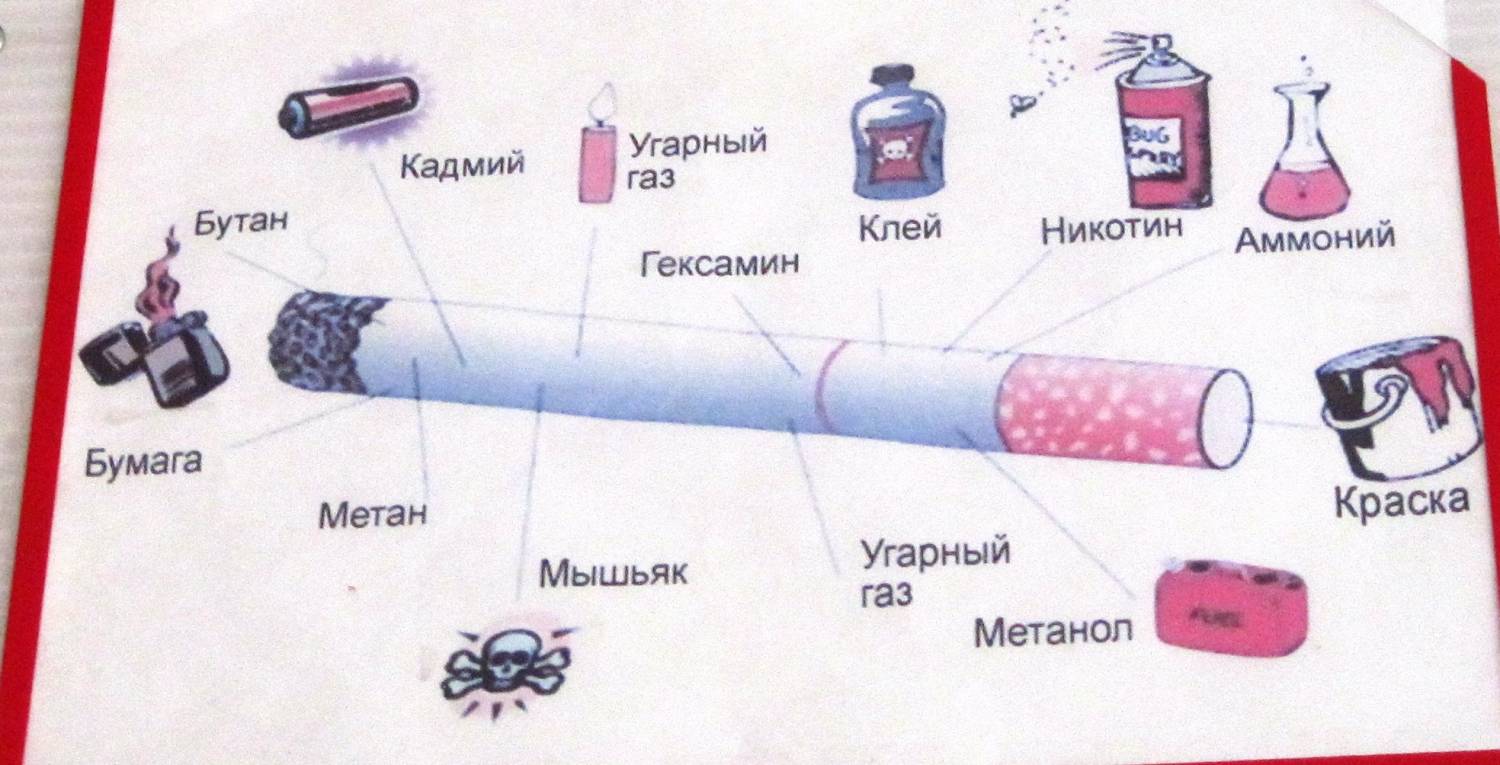 Вредные привычки рисунок 8 класс